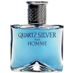 Quartz Silver pour Homme
